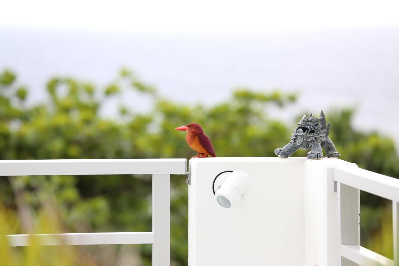 Blue Ocean Resort Ishigaki  Buitenkant foto