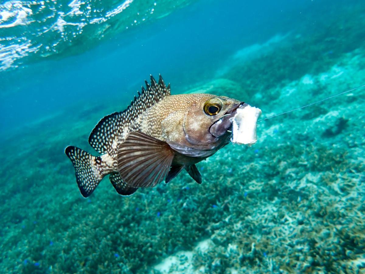 Blue Ocean Resort Ishigaki  Buitenkant foto